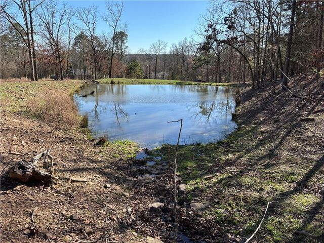 12561 SR 124, Russellville, AR 72802