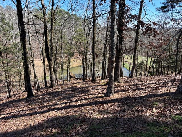 12561 SR 124, Russellville, AR 72802