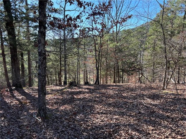 12561 SR 124, Russellville, AR 72802