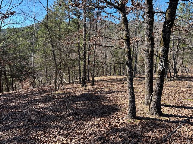 12561 SR 124, Russellville, AR 72802