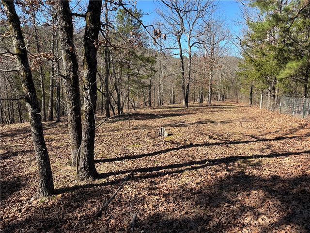 12561 SR 124, Russellville, AR 72802