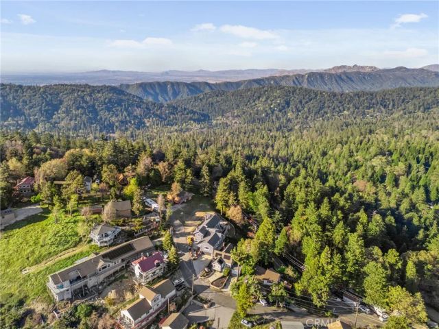 1015 Summit Drive, Crestline, CA 92325