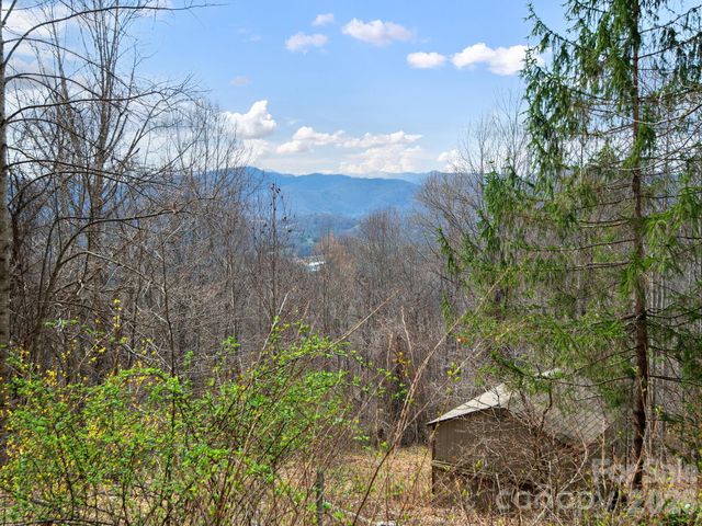 1160 High Rock Mountain Road, Marshall, NC 28753