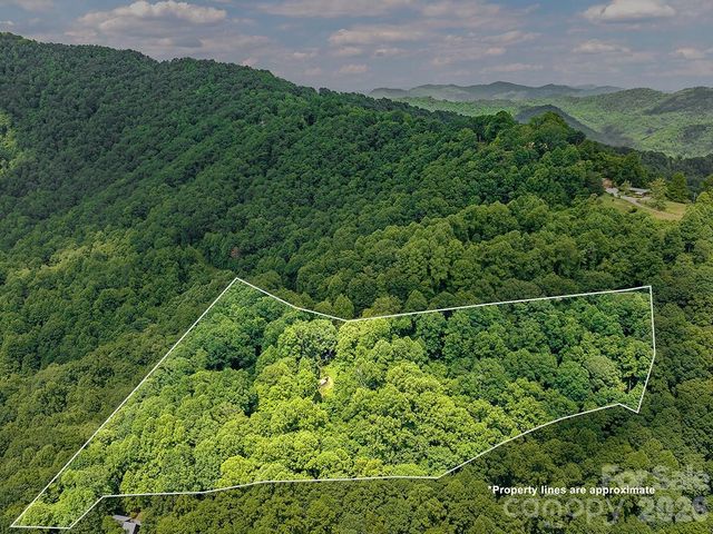 1160 High Rock Mountain Road, Marshall, NC 28753