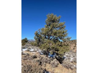 4850 Akers, Fort Garland, CO 81133