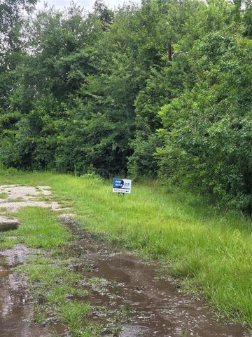 600 Rachel B Scott Avenue, Cleveland, TX 77327