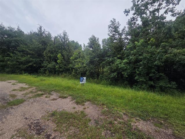 600 Rachel B Scott Avenue, Cleveland, TX 77327