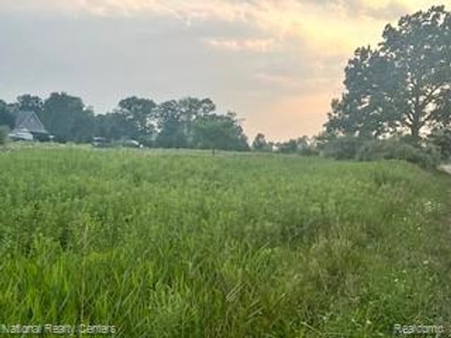 00 Stow Road, Webberville, MI 48892