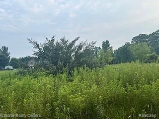 00 Stow Road, Webberville, MI 48892