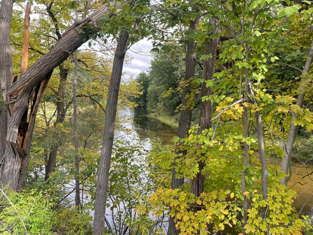 6404 Shearer Road, Eureka Twp, MI 48838