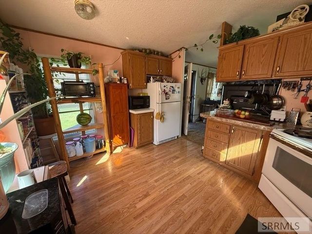 233 Obsidian Drive, Salmon, ID 83467