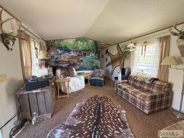 233 Obsidian Drive, Salmon, ID 83467