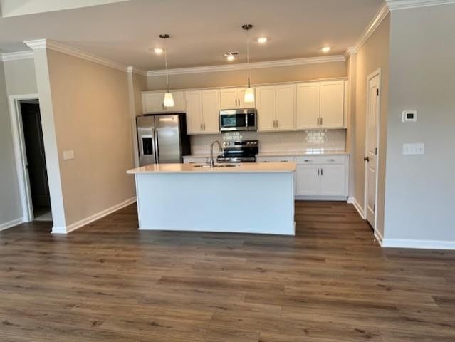 1000 Carolina Way, Manning, SC 29102