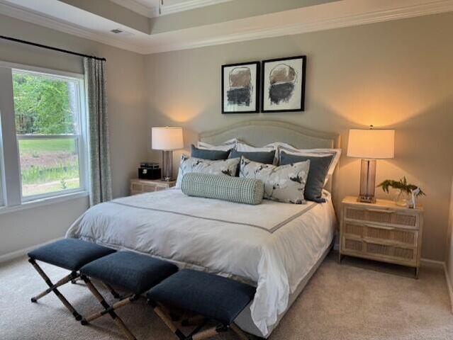 1000 Carolina Way, Manning, SC 29102