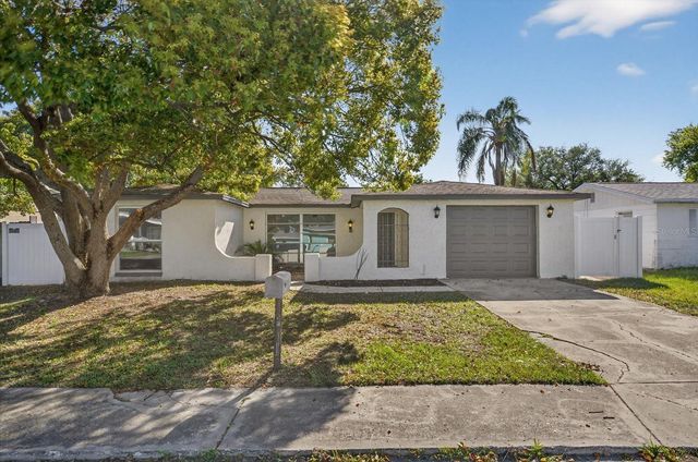 10028 VINEYARD LANE, Port Richey, FL 34668