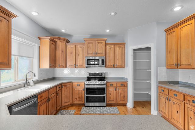 1501 W ELK CIR, Mapleton, UT 84664