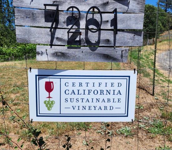 7201 Happy Valley Rd, Somerset, CA 95684