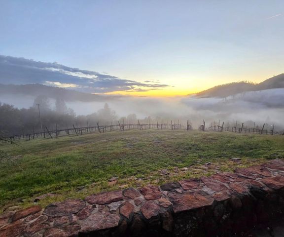 7201 Happy Valley Rd, Somerset, CA 95684