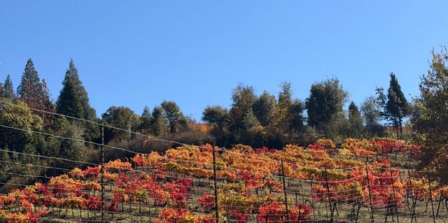 7201 Happy Valley Rd, Somerset, CA 95684