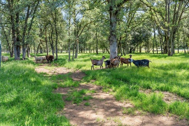 9201 Marysville Rd, Oregon House, CA 95962