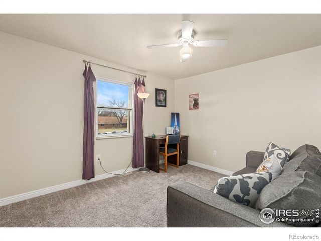 707 3rd Street 5, Windsor, CO 80550