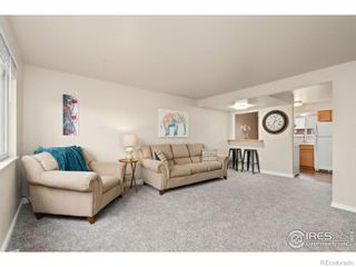 707 3rd Street 5, Windsor, CO 80550