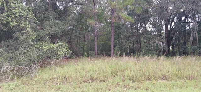1623 E IVYDALE DRIVE, Citrus Springs, FL 34434