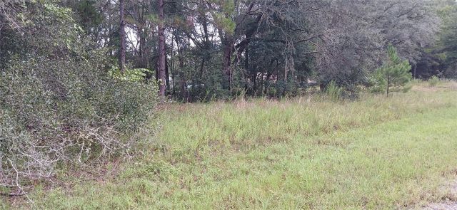 1623 E IVYDALE DRIVE, Citrus Springs, FL 34434