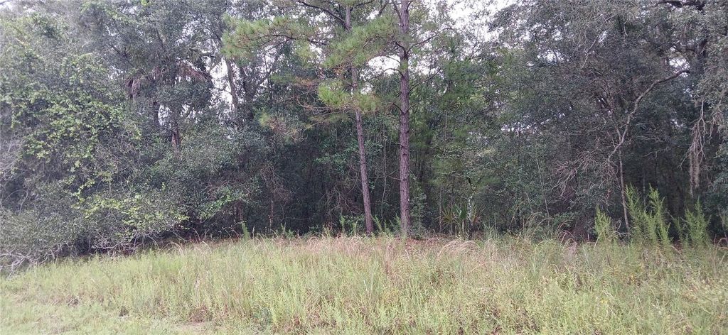 1623 E IVYDALE DRIVE, Citrus Springs, FL 34434