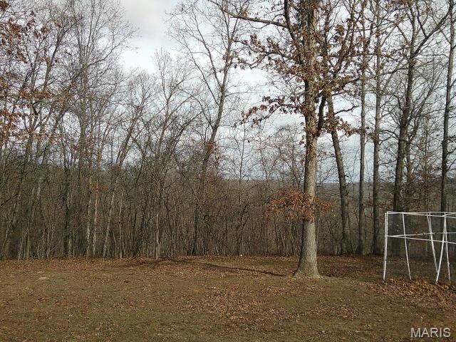 13670 Mammoth Road, De Soto, MO 63020