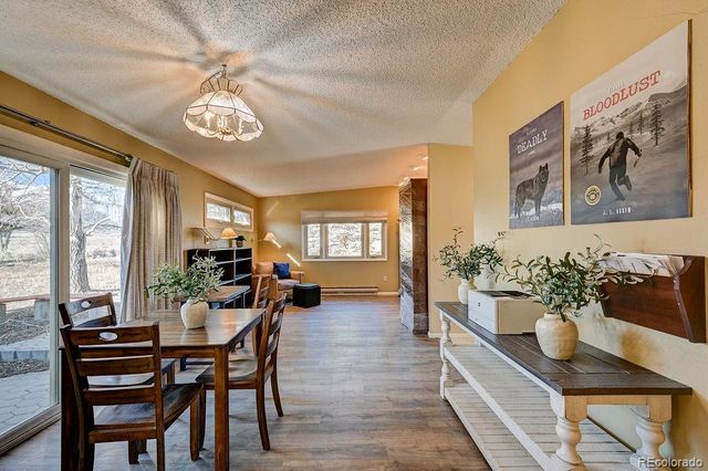 15622 County Road 306, Buena Vista, CO 81211