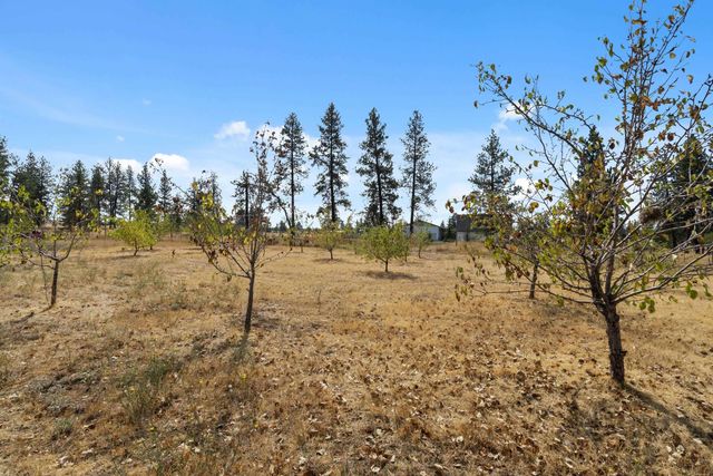 16106 S Dover Rd, Cheney, WA 99004