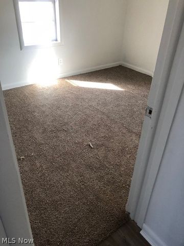 1351 Ivanhoe, Youngstown, OH 44502