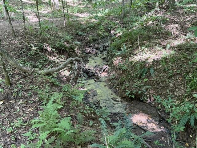 Tr. B&C Bear Hollow Way, Cherry Log, GA 30522