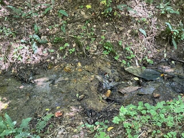 Tr. B&C Bear Hollow Way, Cherry Log, GA 30522