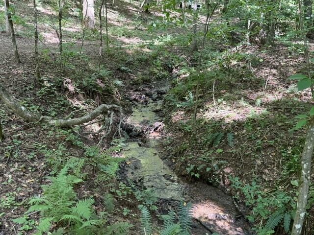 Tr. B&C Bear Hollow Way, Cherry Log, GA 30522