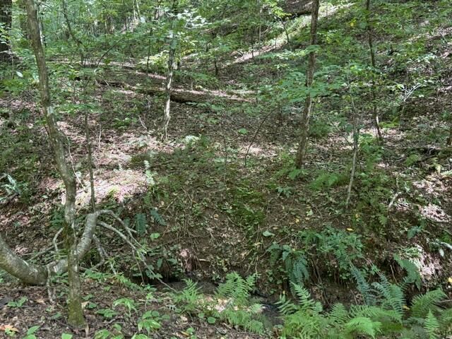 Tr. B&C Bear Hollow Way, Cherry Log, GA 30522