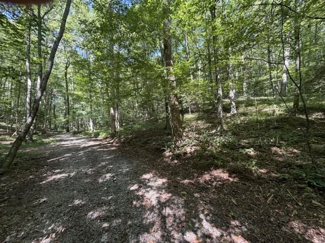 Tr. B&C Bear Hollow Way, Cherry Log, GA 30522