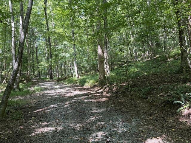 Tr. B&C Bear Hollow Way, Cherry Log, GA 30522