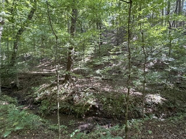 Tr. B&C Bear Hollow Way, Cherry Log, GA 30522