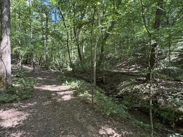 Tr. B&C Bear Hollow Way, Cherry Log, GA 30522