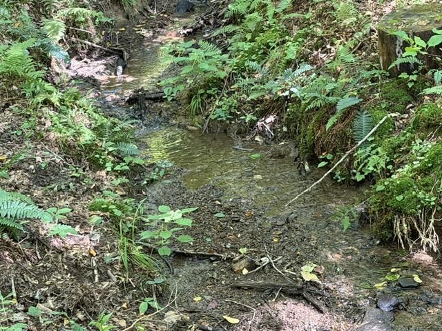Tr. B&C Bear Hollow Way, Cherry Log, GA 30522