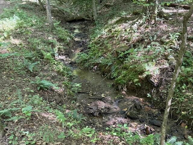 Tr. B&C Bear Hollow Way, Cherry Log, GA 30522