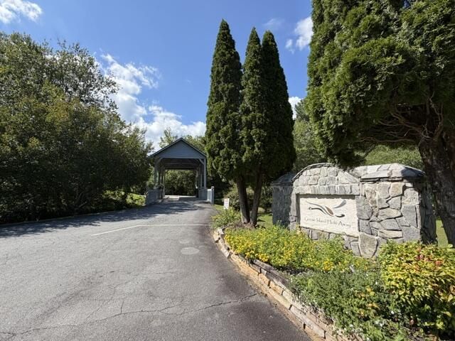 Tr. B&C Bear Hollow Way, Cherry Log, GA 30522
