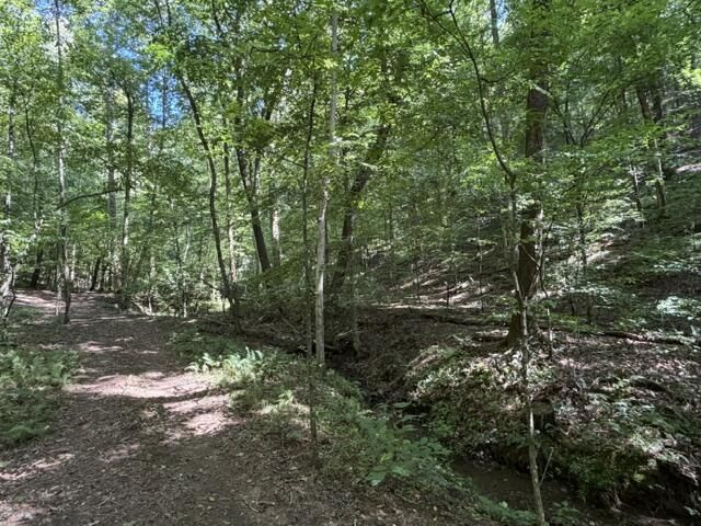Tr. B&C Bear Hollow Way, Cherry Log, GA 30522
