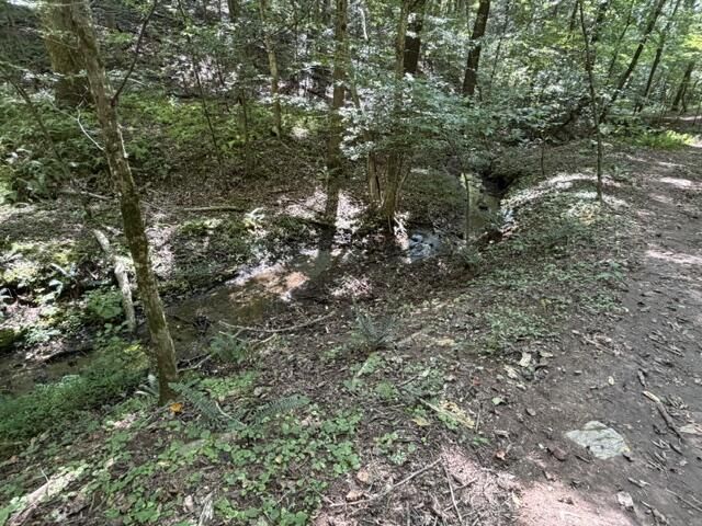 Tr. B&C Bear Hollow Way, Cherry Log, GA 30522