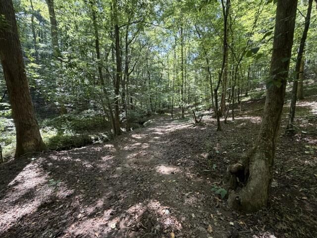 Tr. B&C Bear Hollow Way, Cherry Log, GA 30522