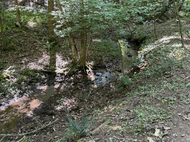 Tr. B&C Bear Hollow Way, Cherry Log, GA 30522