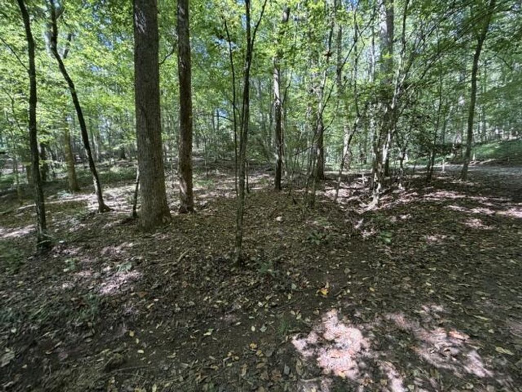 Tr. B&C Bear Hollow Way, Cherry Log, GA 30522