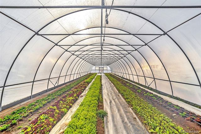 7545 Log Road, Peyton, CO 80831